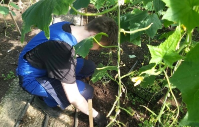 Всемирный день Земли 